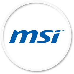 MSI